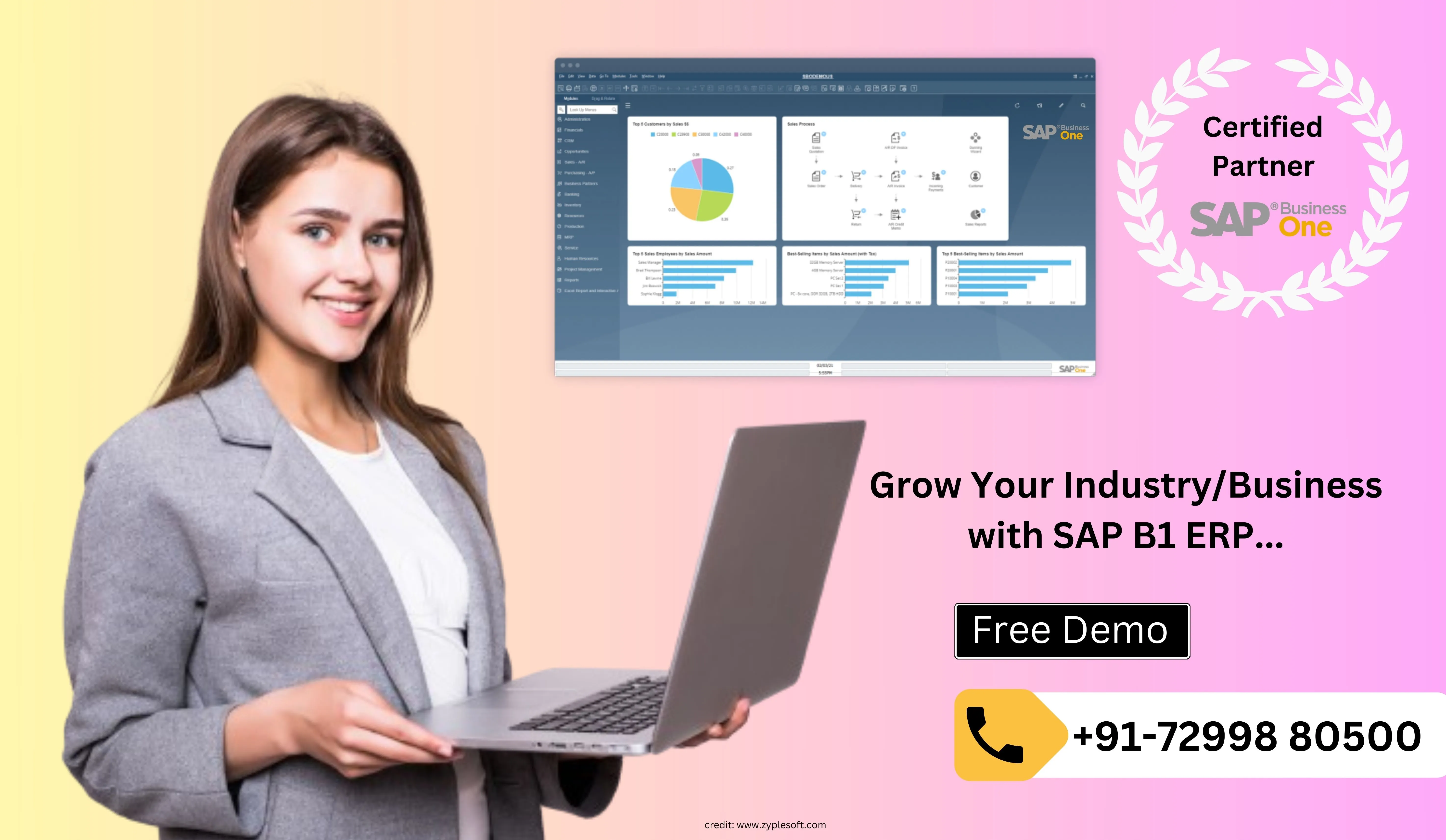 SAP Business One Demo - Zyple Software