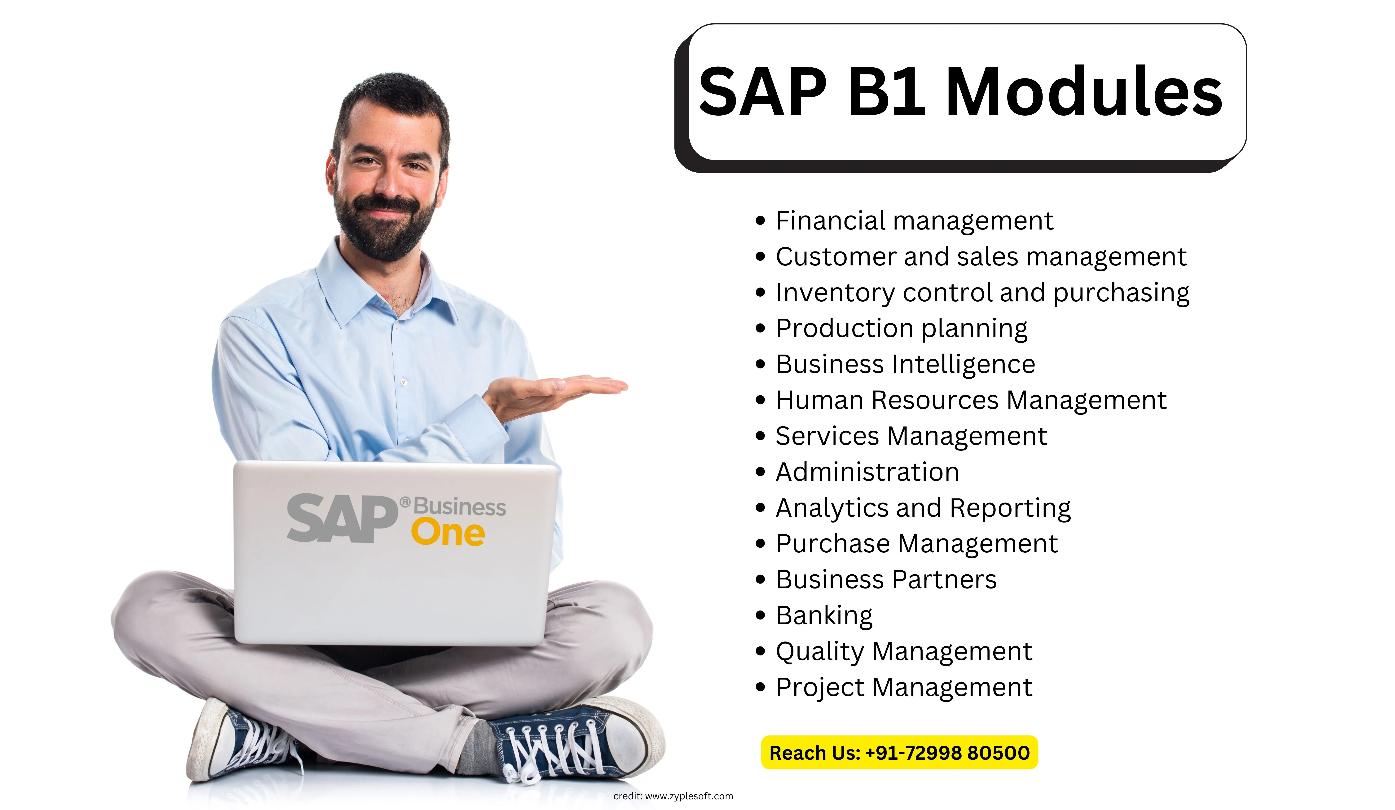 SAP Business One modules